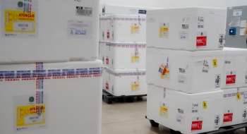 Vacinação contra a dengue começa na quinta 